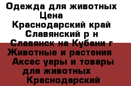 Одежда для животных › Цена ­ 100 - Краснодарский край, Славянский р-н, Славянск-на-Кубани г. Животные и растения » Аксесcуары и товары для животных   . Краснодарский край